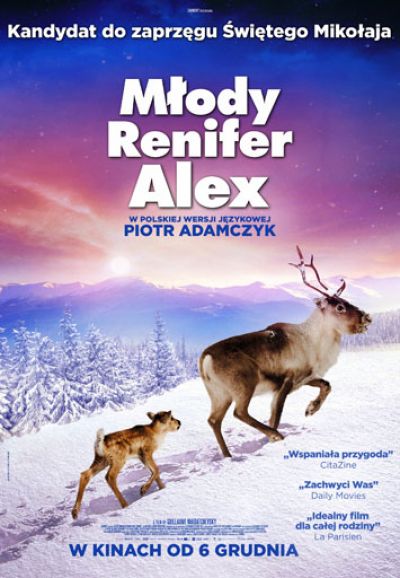 Młody renifer Alex (2020)