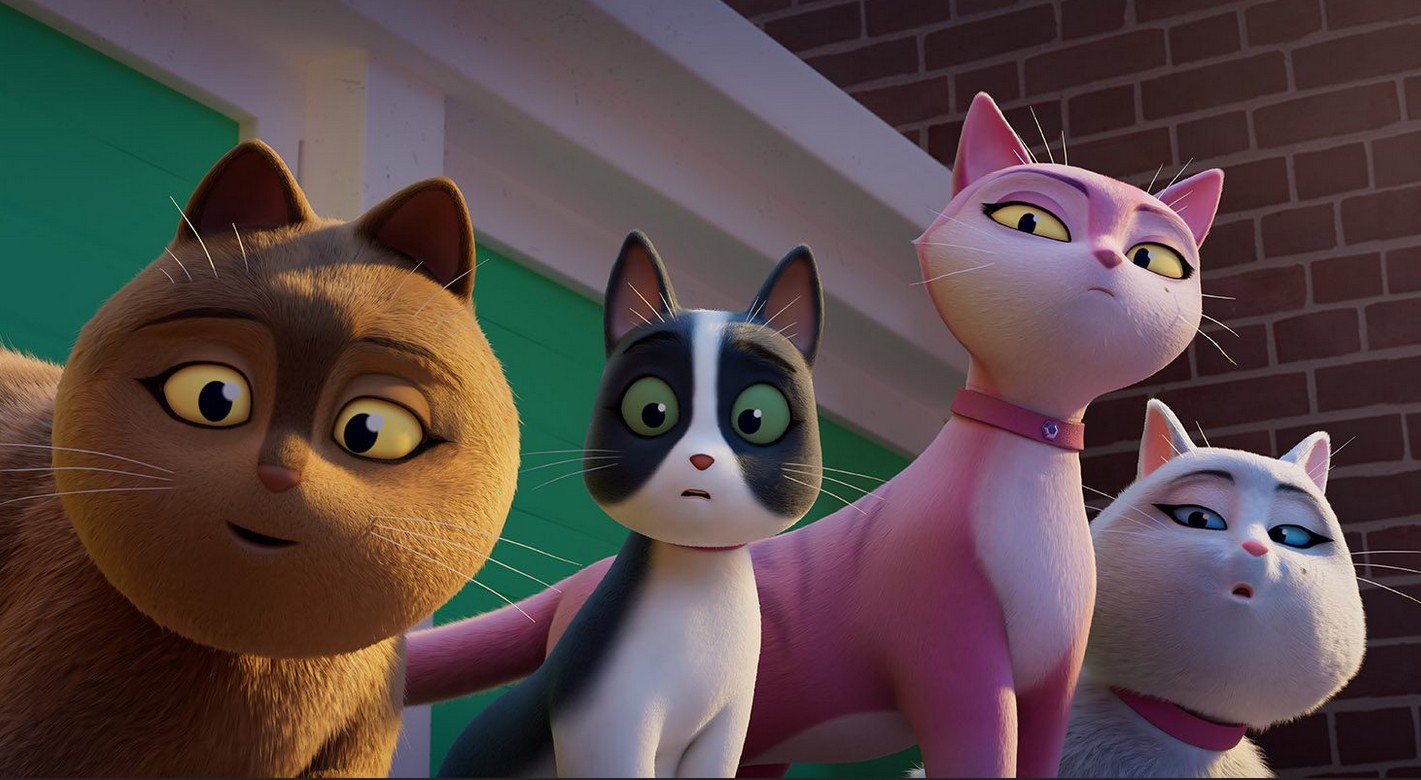 slider_miss_moxy_kocia_ekipa